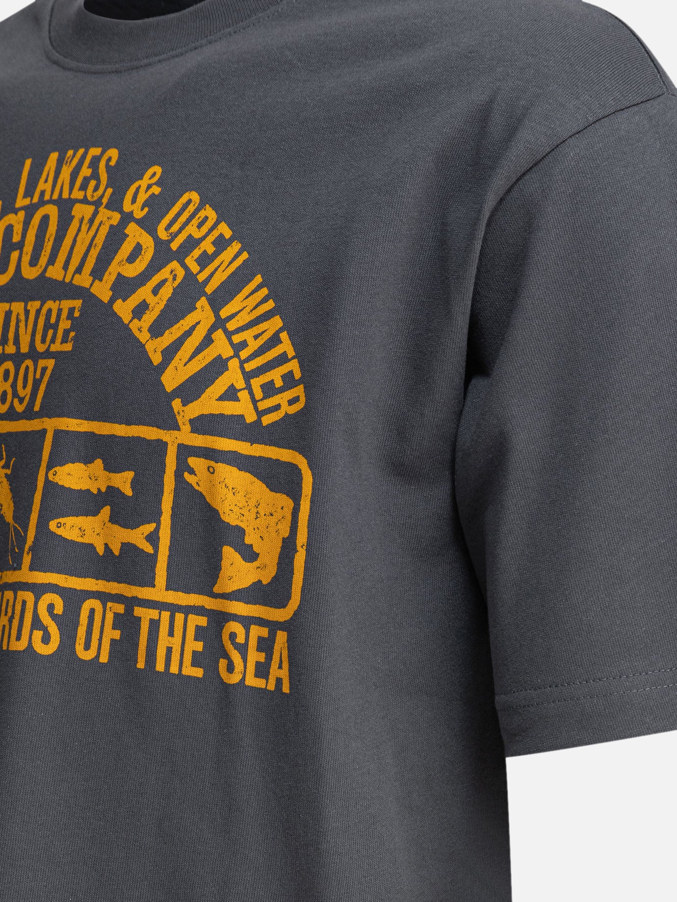 Crewneck t-shirts Print  Blue - Filson Men | PDP | VIETTI Online Store | Zoom-Modal_4
