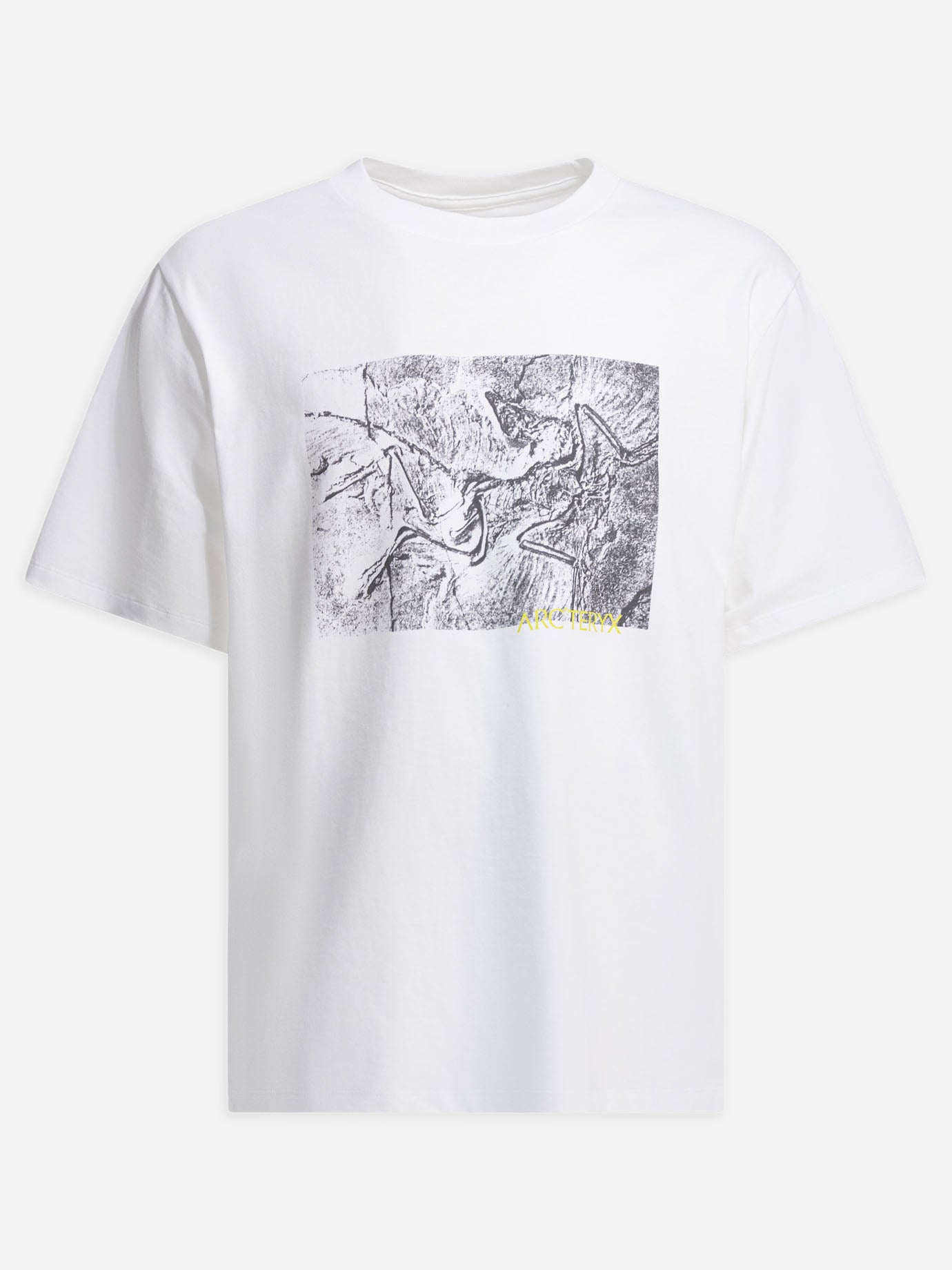 Crewneck t-shirts Graphics  White - Arc'teryx Men | PDP | VIETTI Online Store | Zoom-Modal
