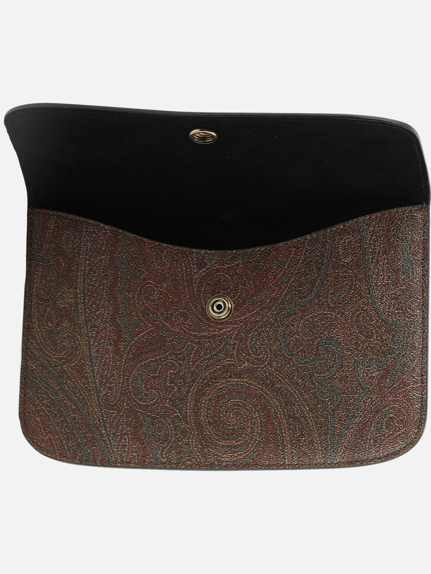 "Paisley" document case