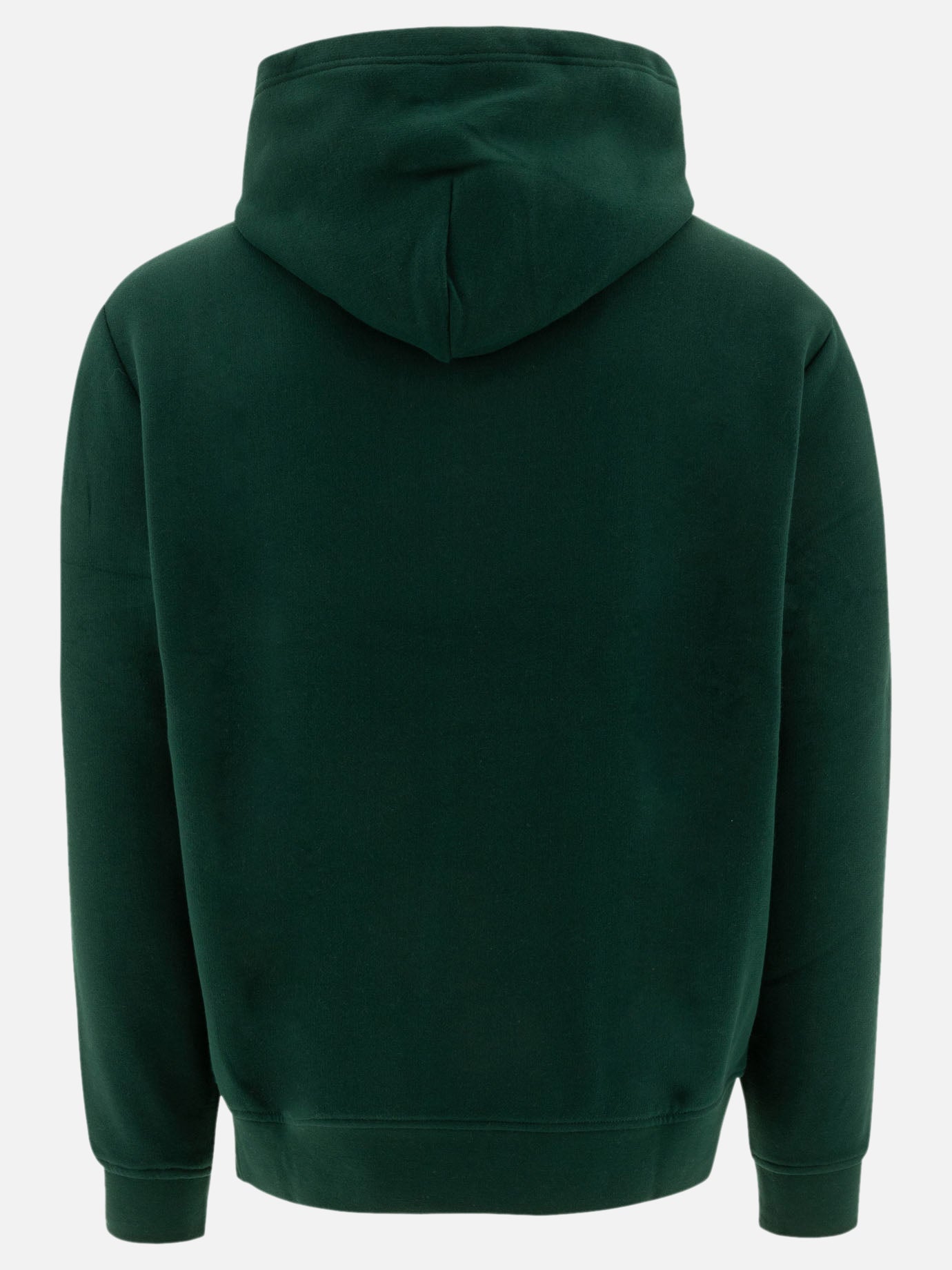 Polo Ralph Lauren "Polo Ralph Lauren" hoodie Green