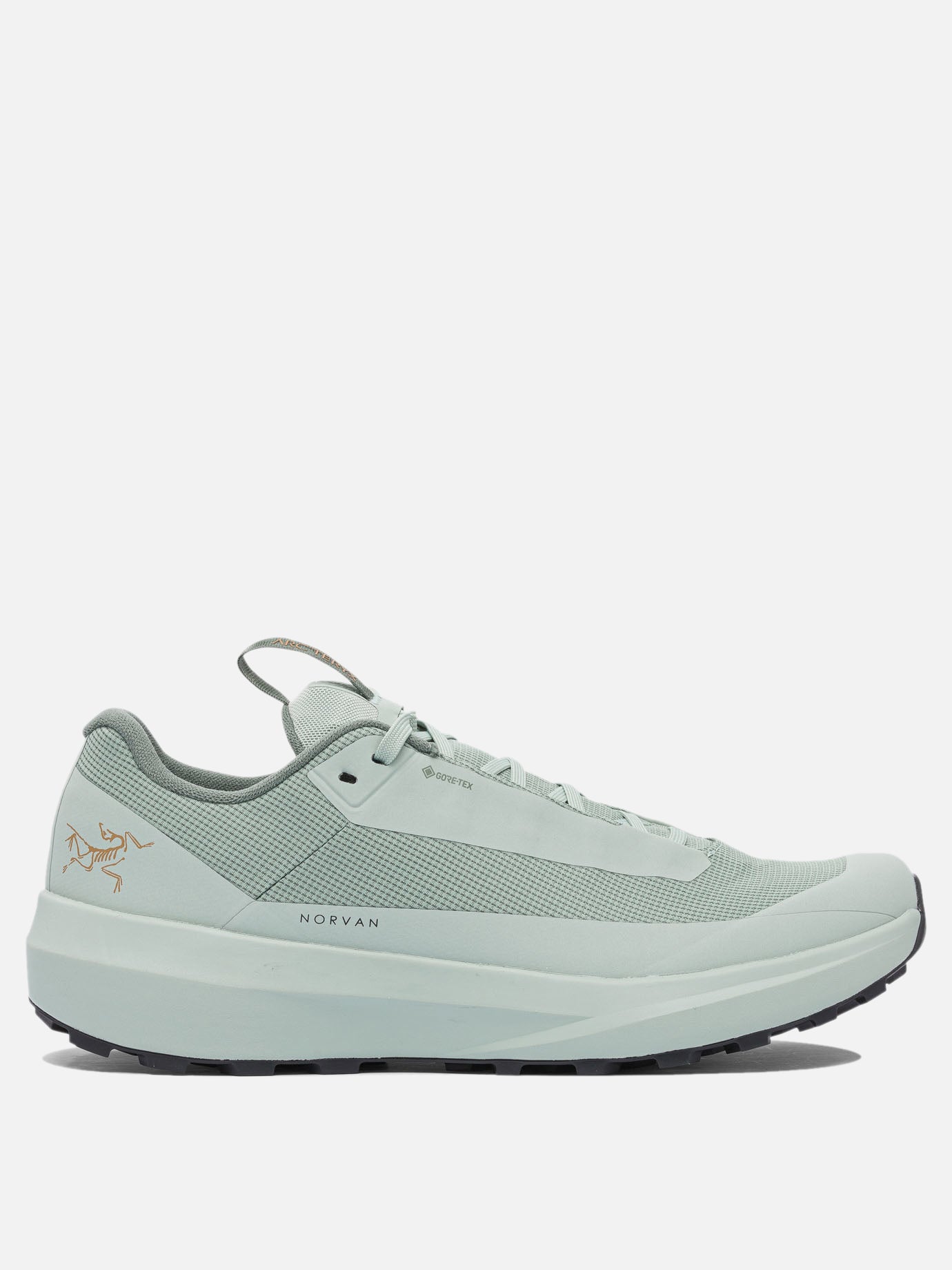Arc'teryx "Norvan LD 4 GTX" Sneakers Green