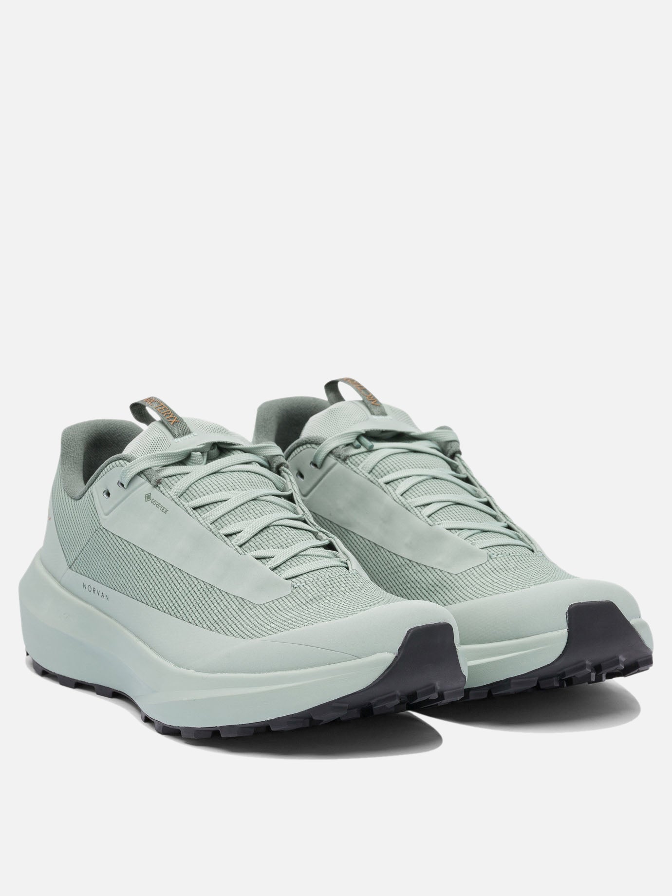 Arc'teryx "Norvan LD 4 GTX" Sneakers Green