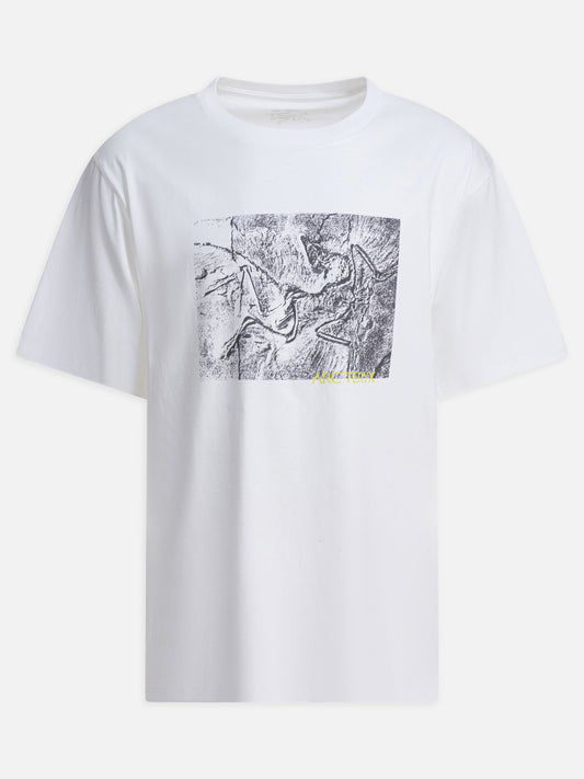 Crewneck t-shirts Graphics  White - Arc'teryx Men | PLP | VIETTI Online Store 
