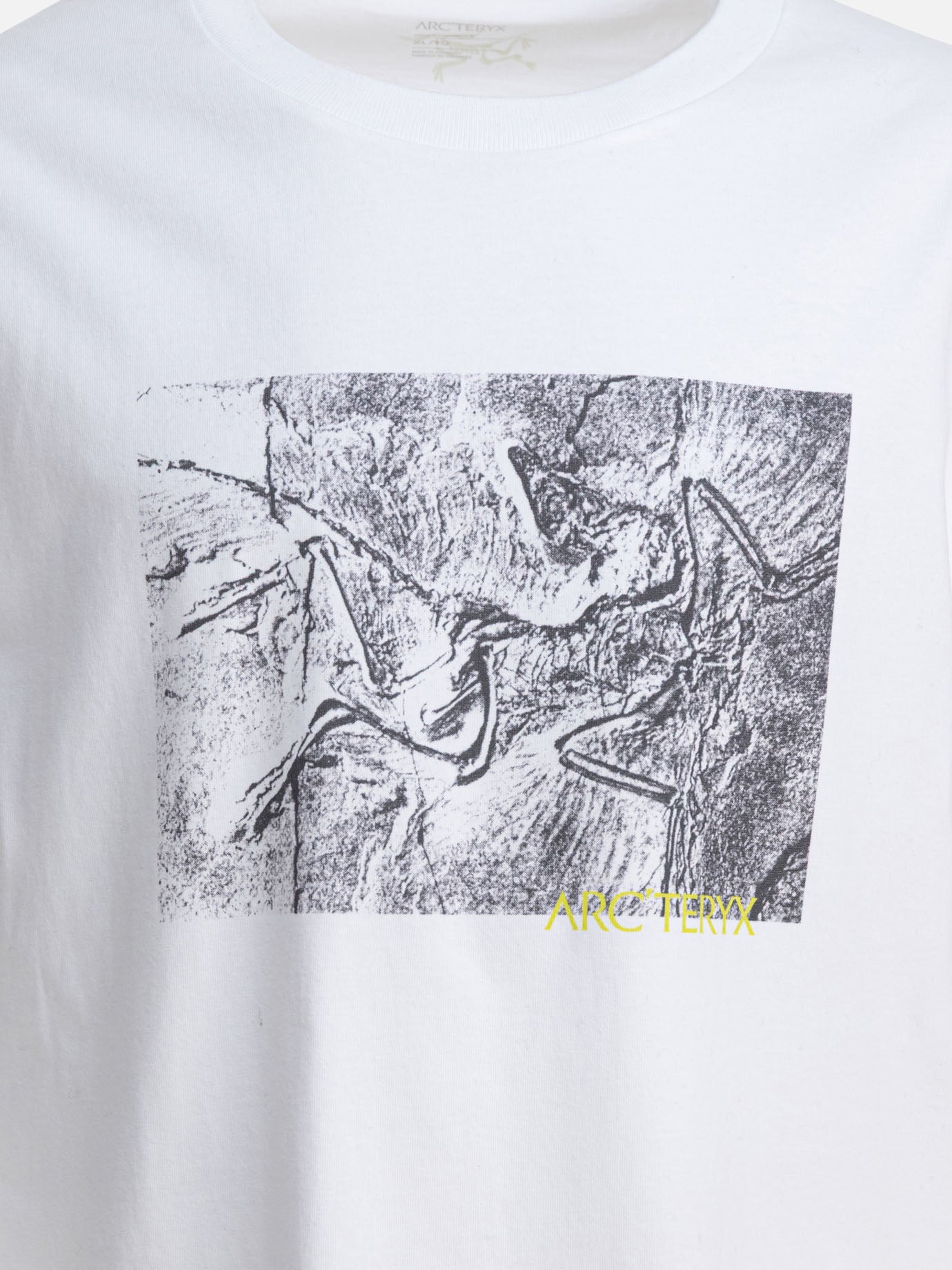 Crewneck t-shirts Graphics  White - Arc&#39;teryx Men | PDP | VIETTI Online Store | thumbnail_3