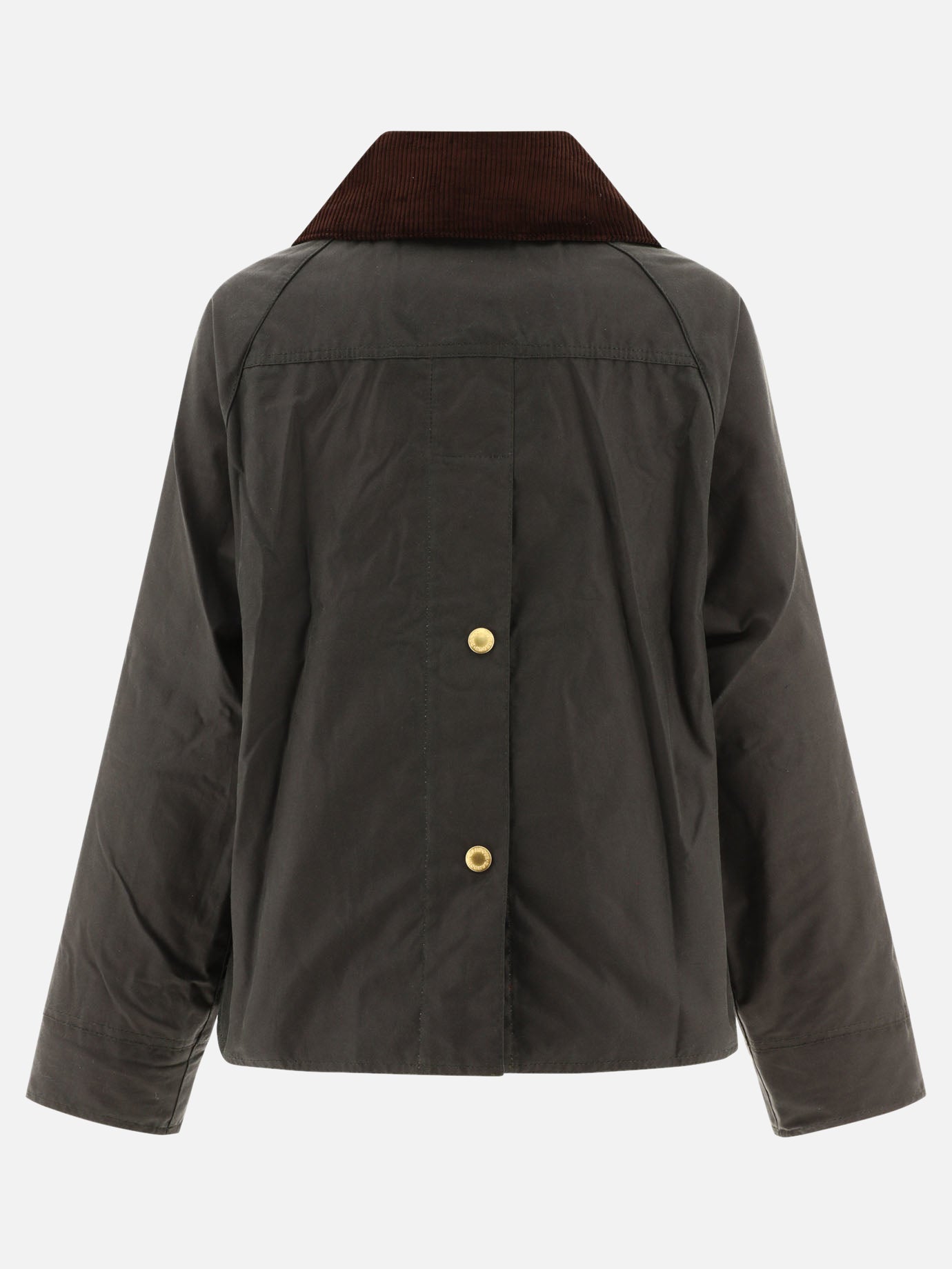Raincoats & Trench coats Logo  Beige - Barbour Women | PDP | VIETTI Online Store | thumbnail_2