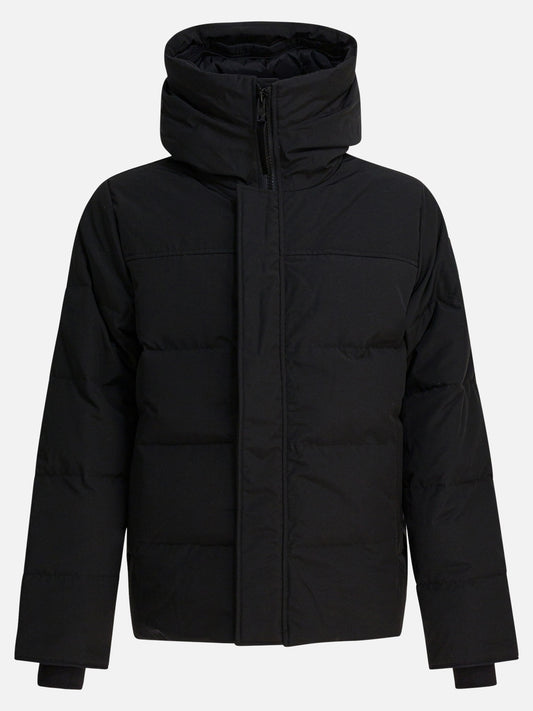 Parkas Solid colour  Black - Canada Goose Men | PDP | VIETTI Online Store 
