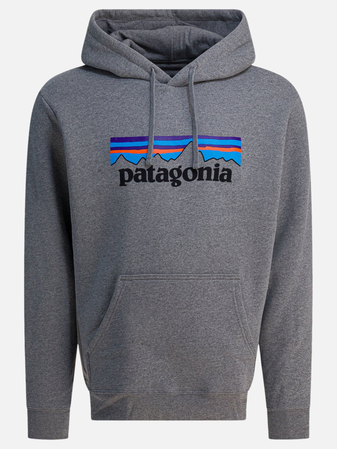 Hoodies Logo  Grey - Patagonia Men | PDP | VIETTI Online Store | Zoom-Modal
